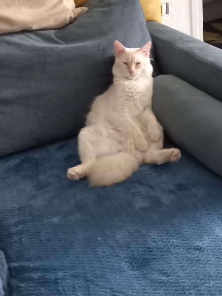 Tchoupi