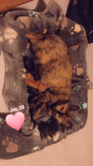 Bella