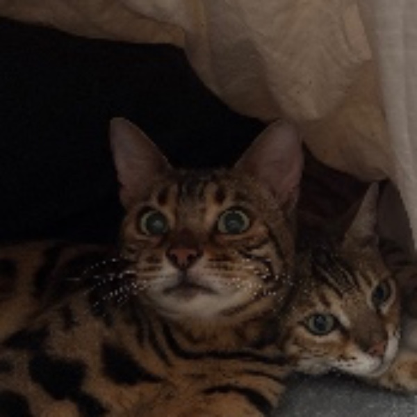 Ruby et reyna