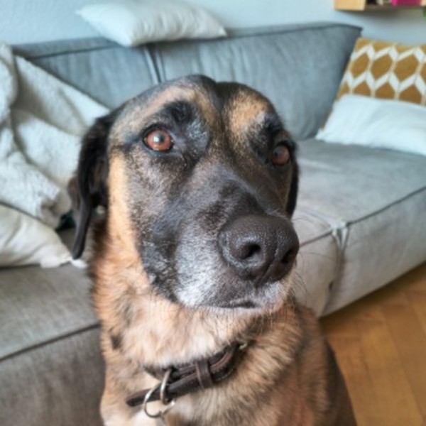 Tulio