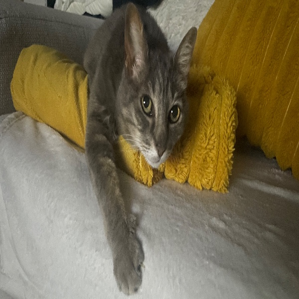 Leïa