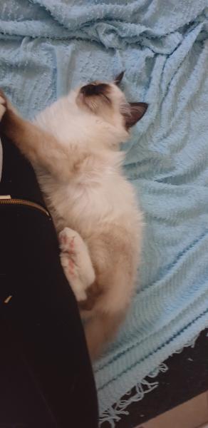 River