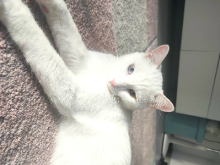 Jun
