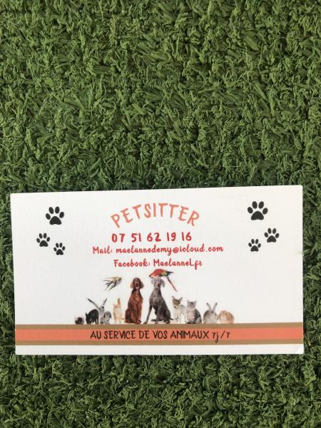 Petsittzr