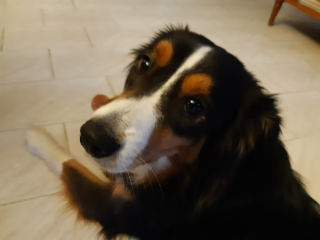 Riley