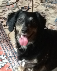 Nicky