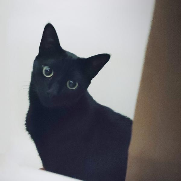 Luna