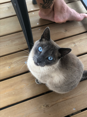 Olaf