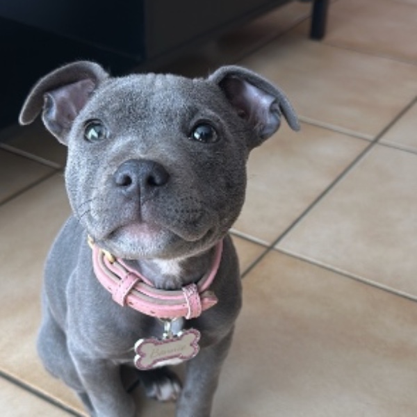 Bonnie