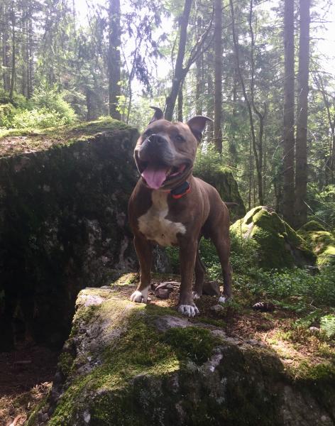 Tyson