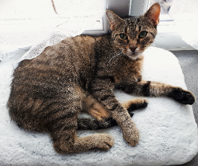 Poussy 2019/2023
