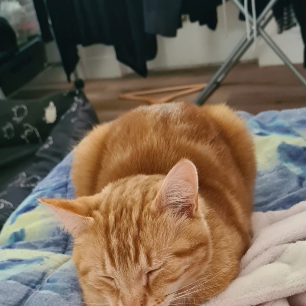 Pourgatou