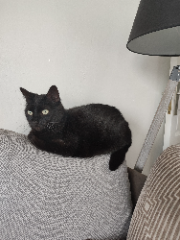 Salem