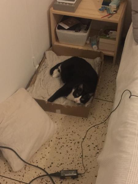 elliot
