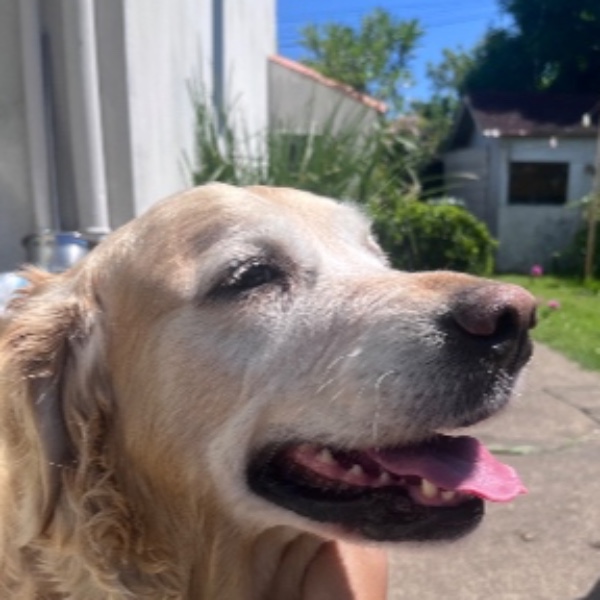 nala
