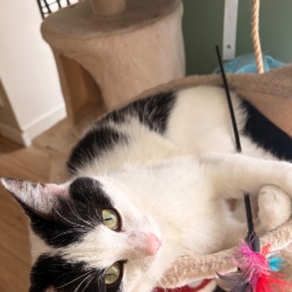 Luna
