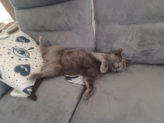 Tim