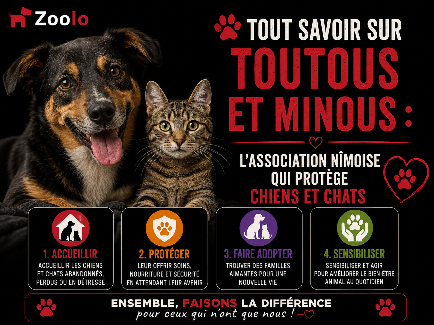 🐶 Tout savoir sur Toutous et Minous : l'association nîmoise qui protège chiens et chats (Toutous Et Minous)
