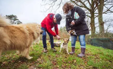 Rencontre préalable avec le petsitter : les questions essentielles à poser avant de confier son animal 🐾
