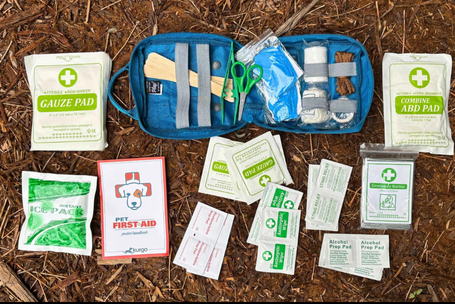 🩹 La trousse de secours idéale pour voyager avec un animal