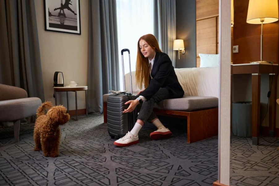 🏨 Comment trouver un hôtel qui accepte les animaux ?