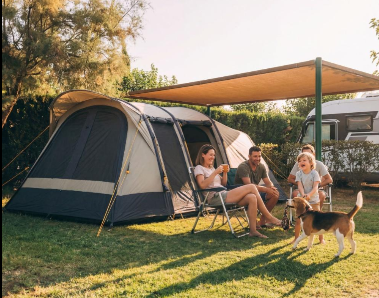 🏕️ Comment choisir un camping dog-friendly ?