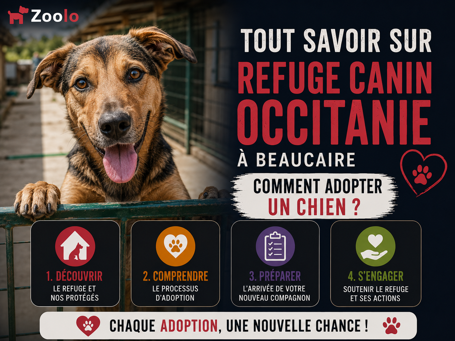 🐶 Tout savoir sur Refuge CANIN Occitanie à Beaucaire : comment adopter un chien ? (Refuge CANIN Occitanie Beaucaire)