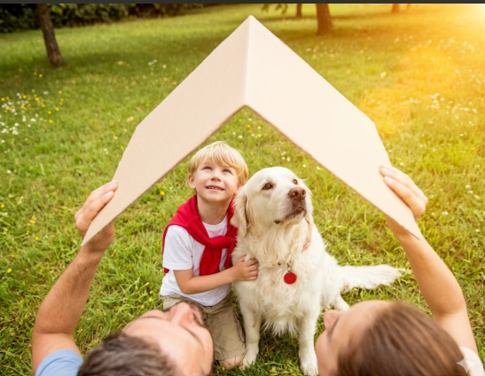 🐾 Faire une bonne action pour la cause animale : devenir petsitter, aider les associations et agir concrètement