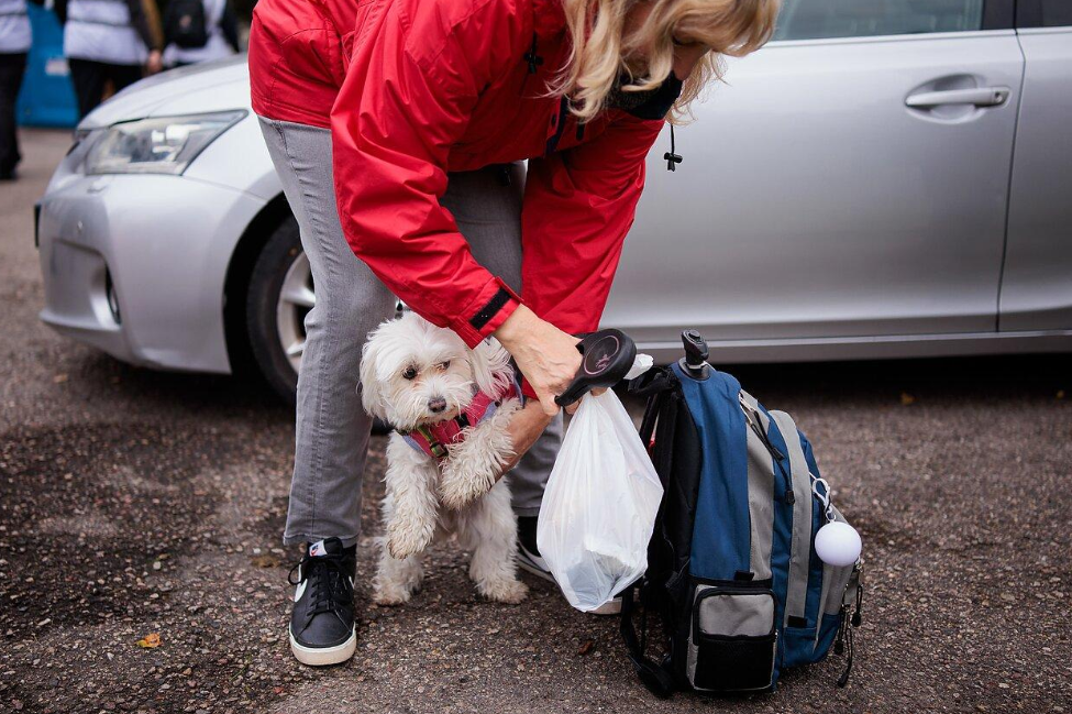 🚗 Évacuation d'urgence : que mettre dans le sac de son animal en moins de 10 minutes ?