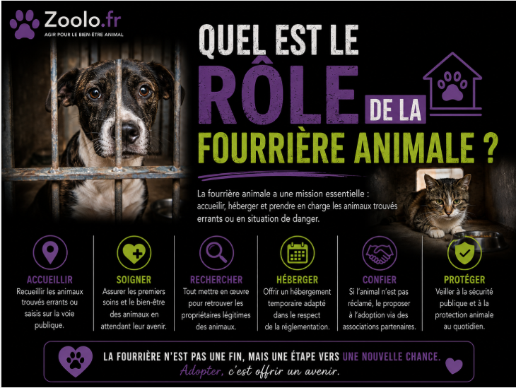 🚨 Quel est le rôle de la fourrière animale ?