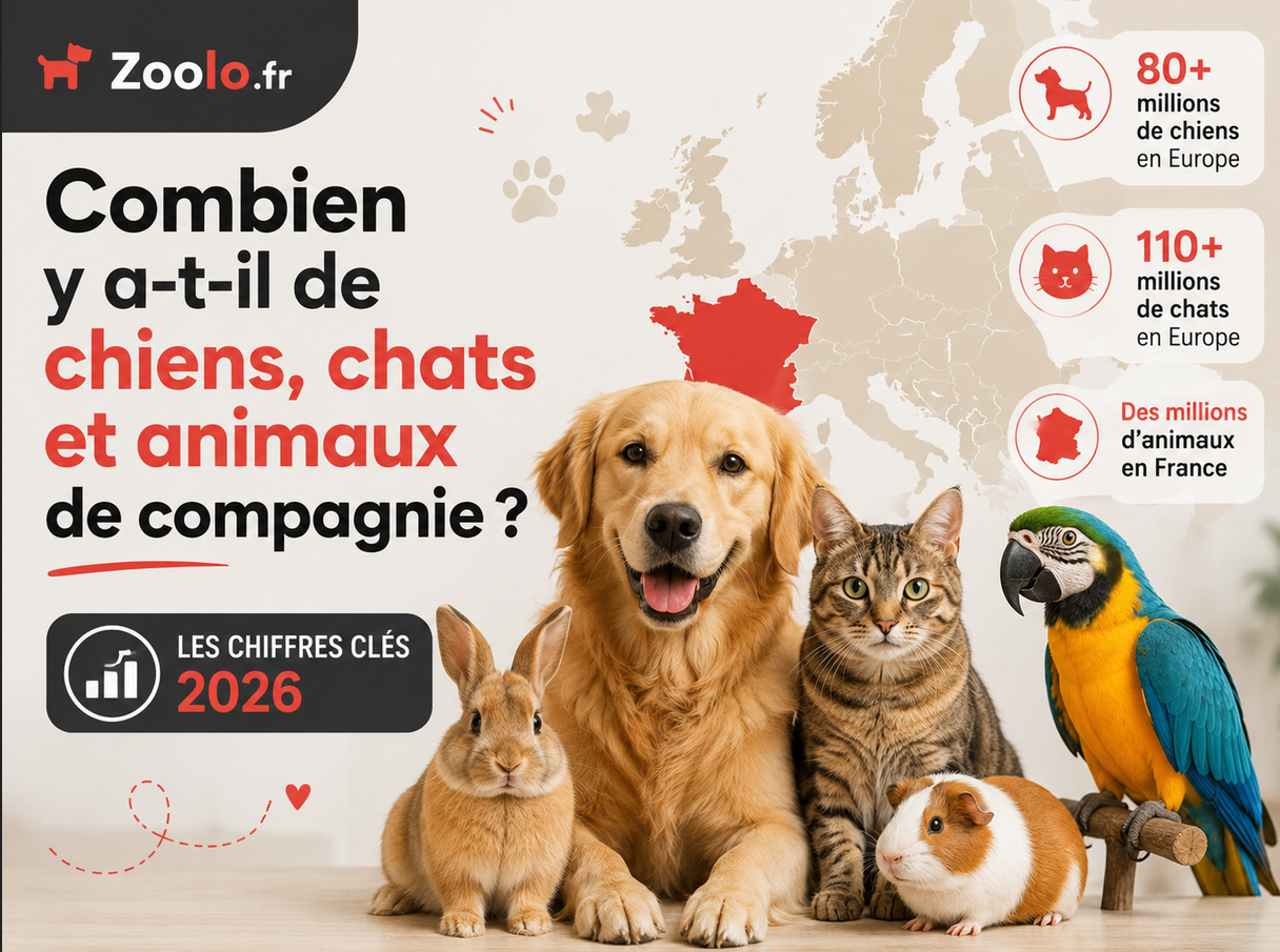 🐾 Combien y a-t-il de chiens, de chats et d’animaux de compagnie en France et en Europe ? Les chiffres clés 2026