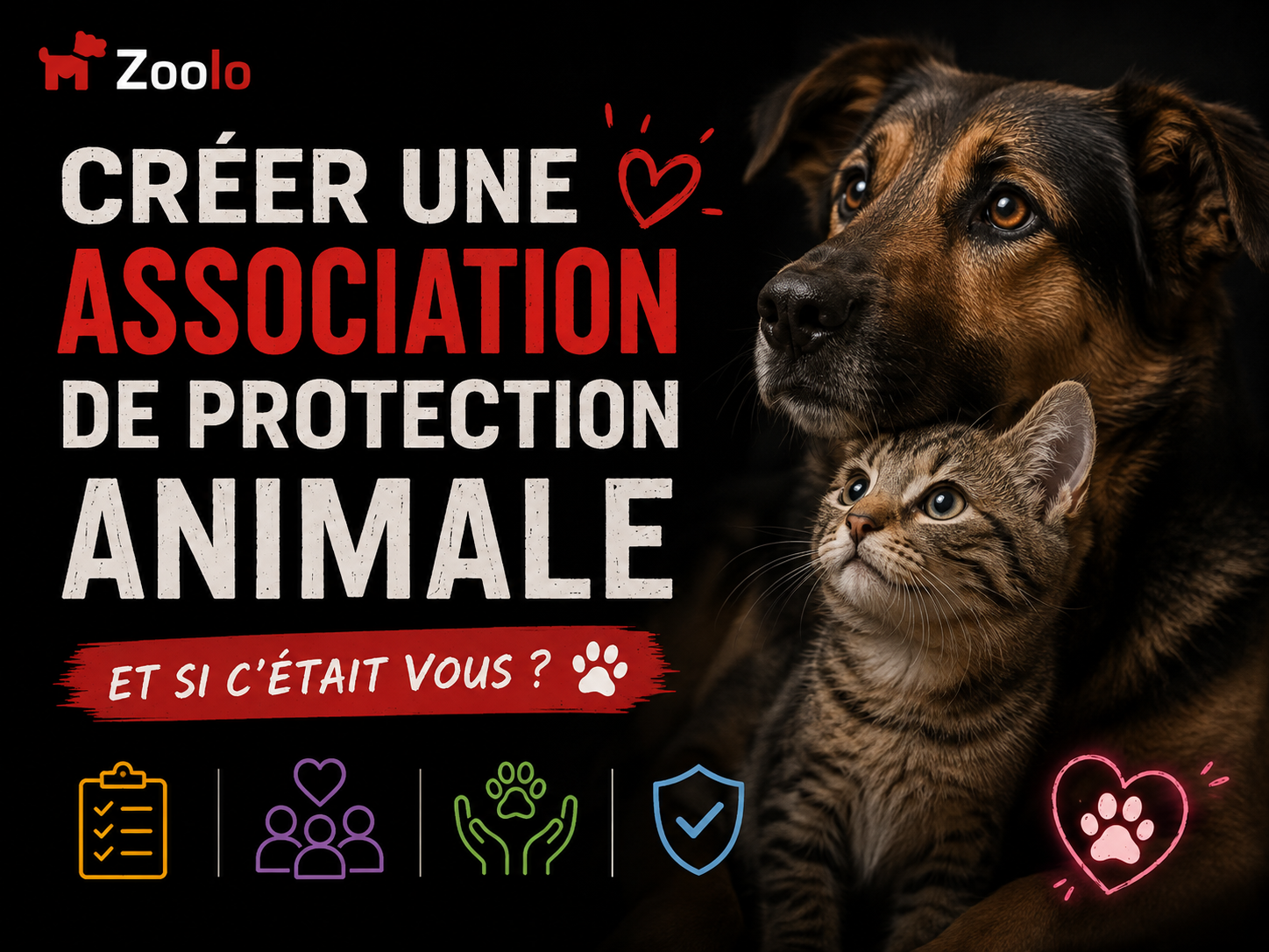 🐾 Comment créer une association de protection animale en France ?
