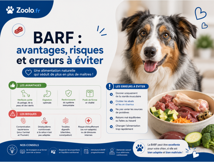 🥩 BARF : une mode ou une véritable alternative ?