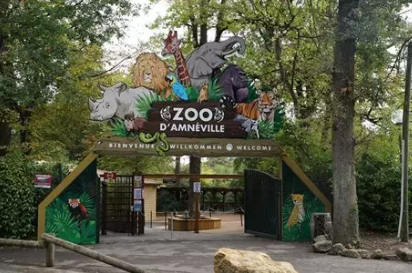 🦁🐾 Zoo d'Amnéville avec un chien : faut-il le faire garder ?