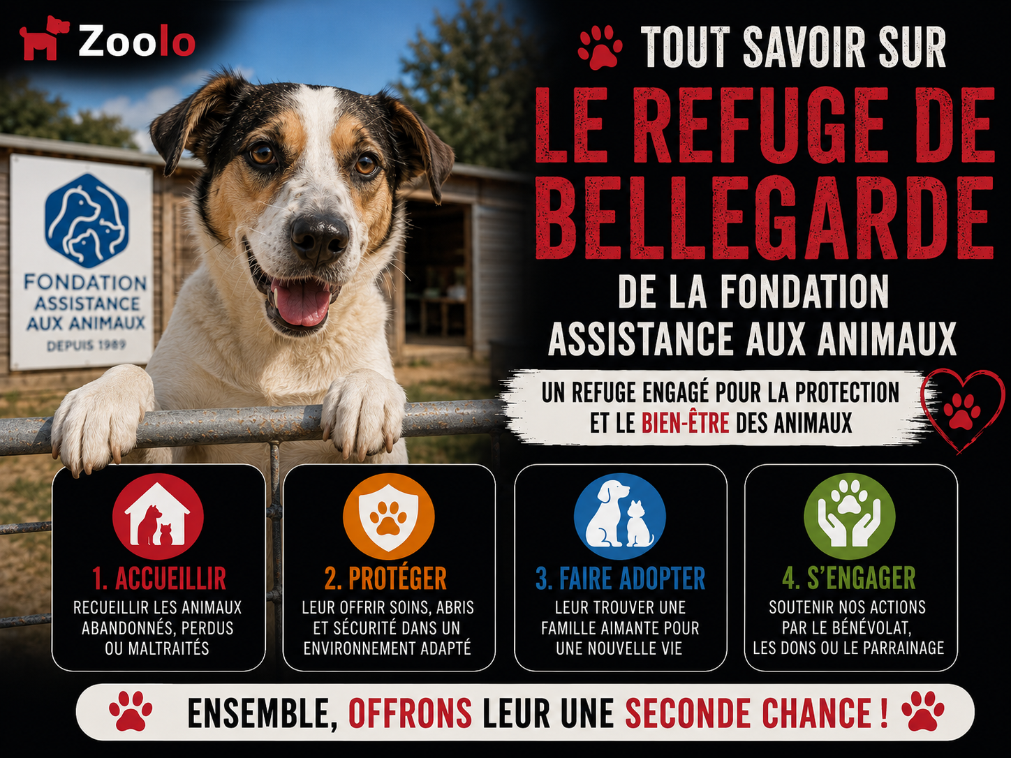 🐾 Tout savoir sur le Refuge de Bellegarde de la Fondation Assistance aux Animaux (Refuge de la Fondation Assistance aux Animaux à Bellegarde)