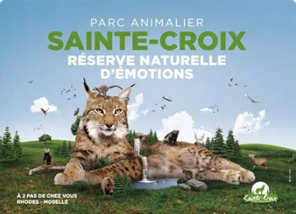 🐺🐾 Parc Animalier de Sainte-Croix avec un chien : faut-il le faire garder ?