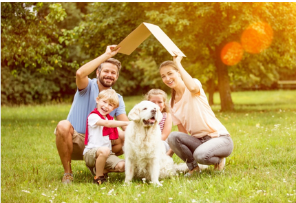 🐾 Faire une bonne action pour la cause animale : devenir petsitter, aider les associations et agir concrètement