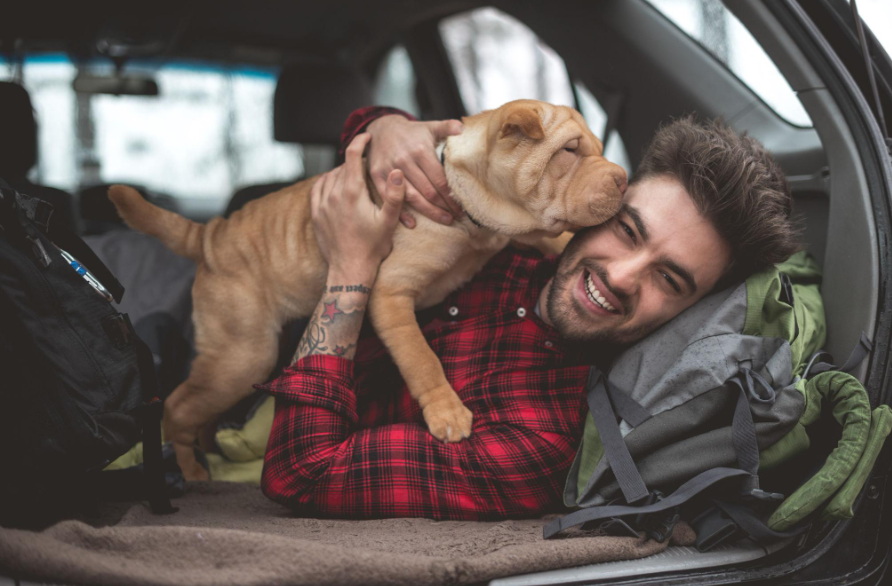 🐶 Habituer son chien à voyager dès son plus jeune âge