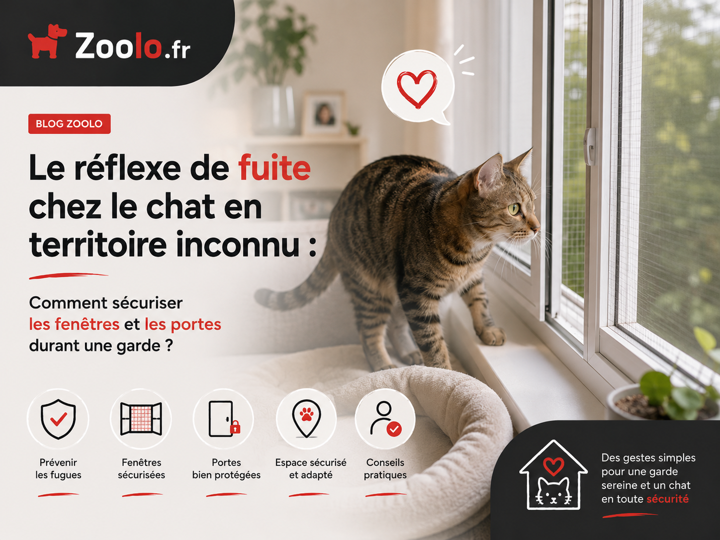 Le réflexe de fuite chez le chat en territoire inconnu : Comment sécuriser les fenêtres et les portes durant une garde ?
