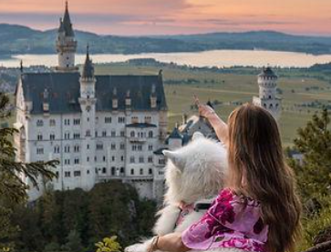 🇩🇪 Voyager en Allemagne avec un chien