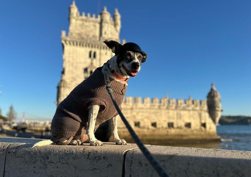🇵🇹 Partir au Portugal avec son chien