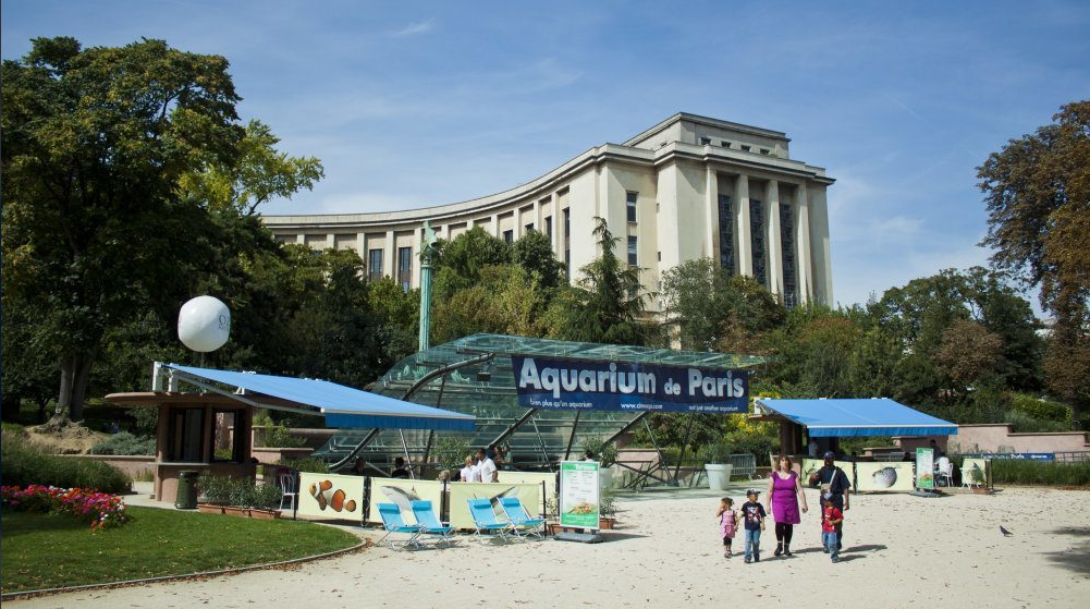 🐠🐾 Aquarium de Paris avec un chien : faut-il le faire garder ?