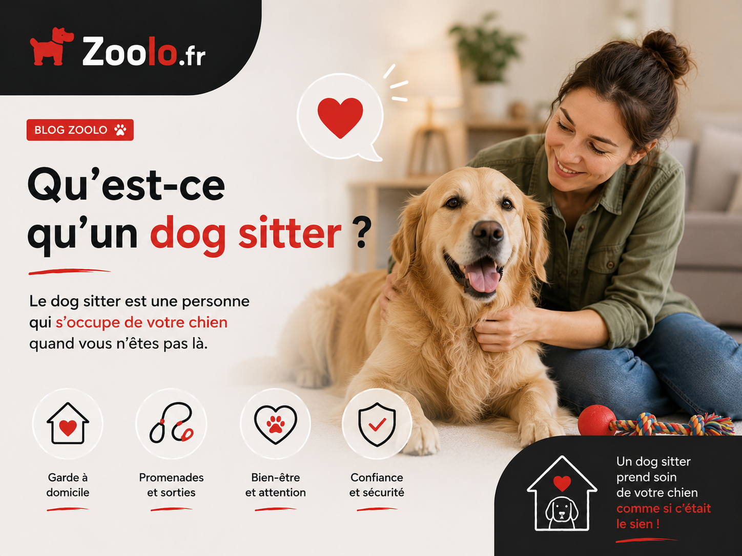 🐶 Qu'est-ce qu'un dog sitter ?