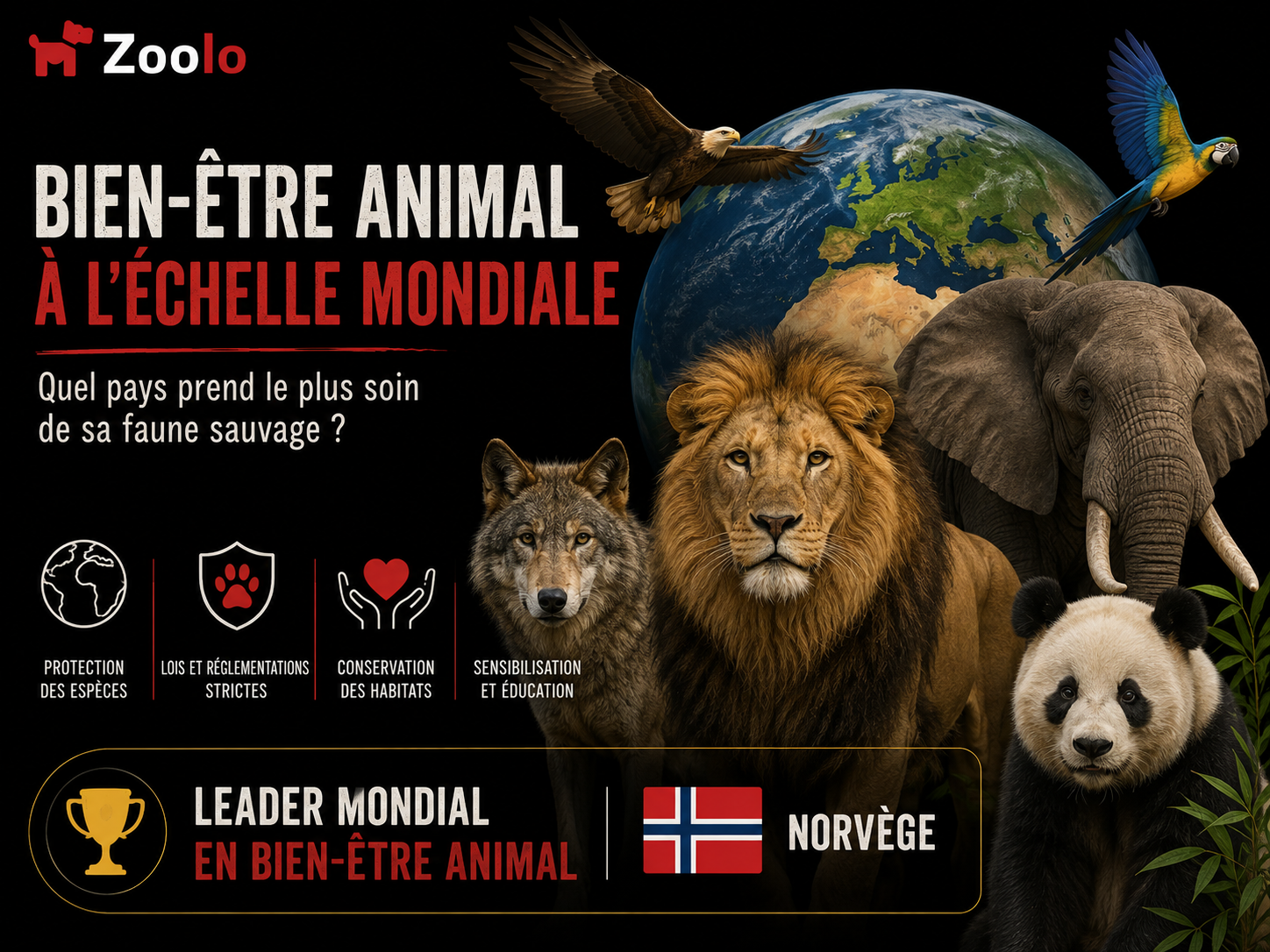 Le bien-être animal à l'échelle mondiale : Quel pays prend le plus soin de sa faune sauvage ?