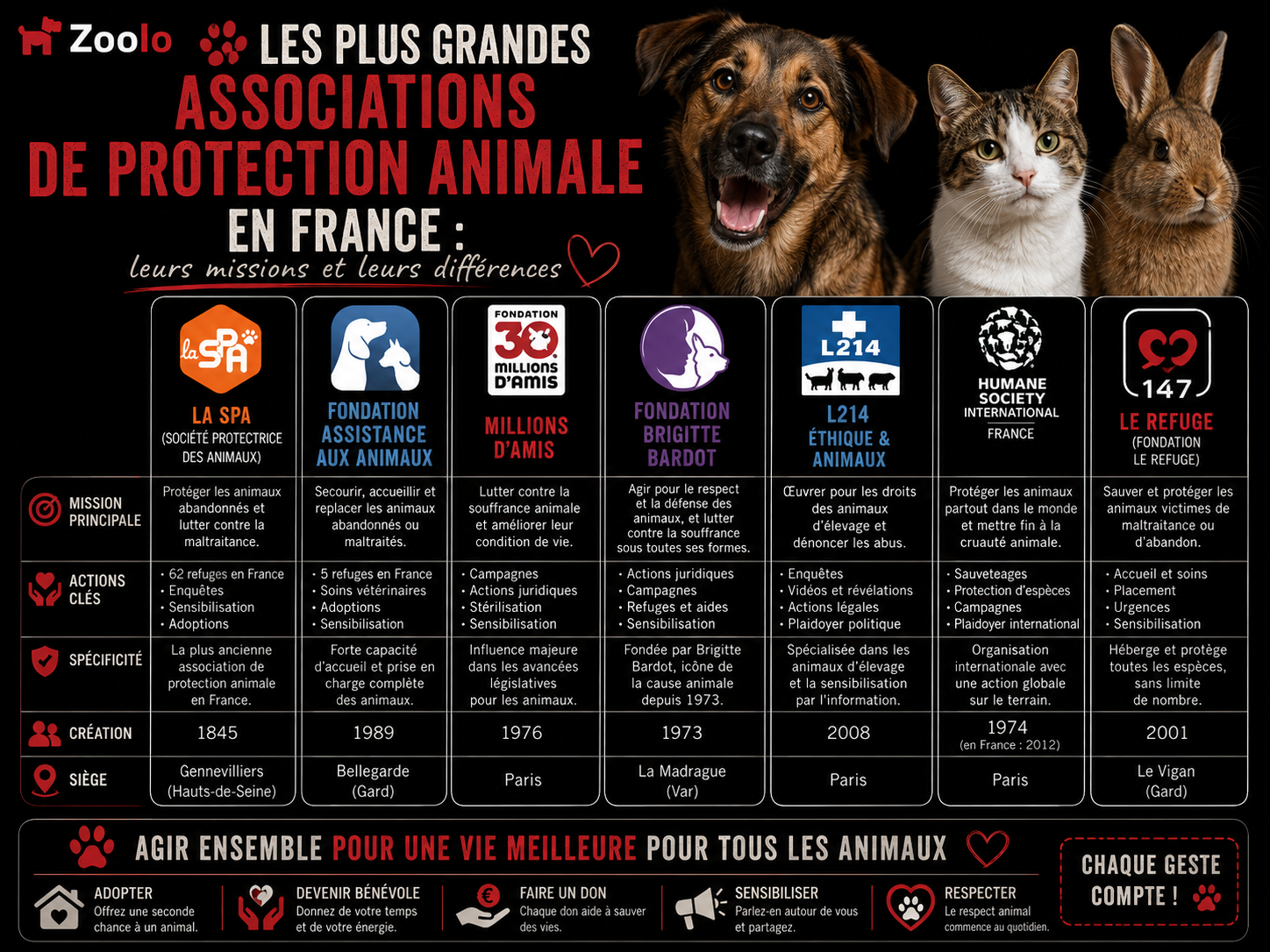 🐾 Les plus grandes associations de protection animale en France : leurs missions et leurs différences