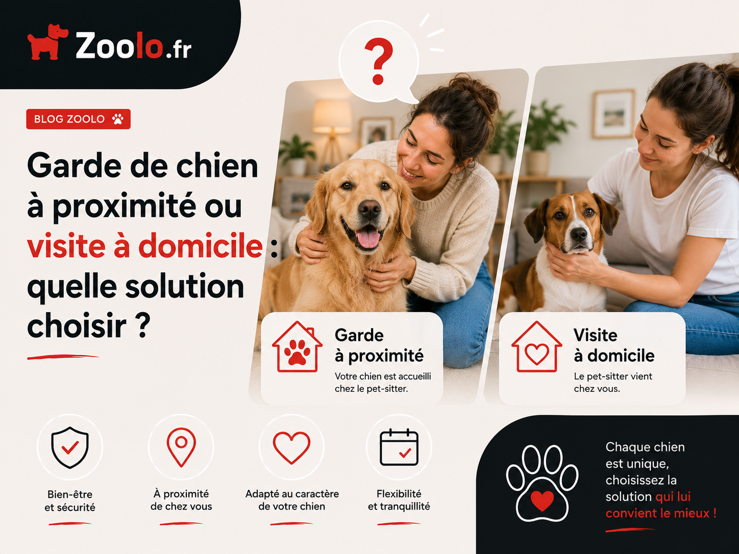 🐶 Garde de chien à proximité ou visite à domicile : quelle solution choisir ?