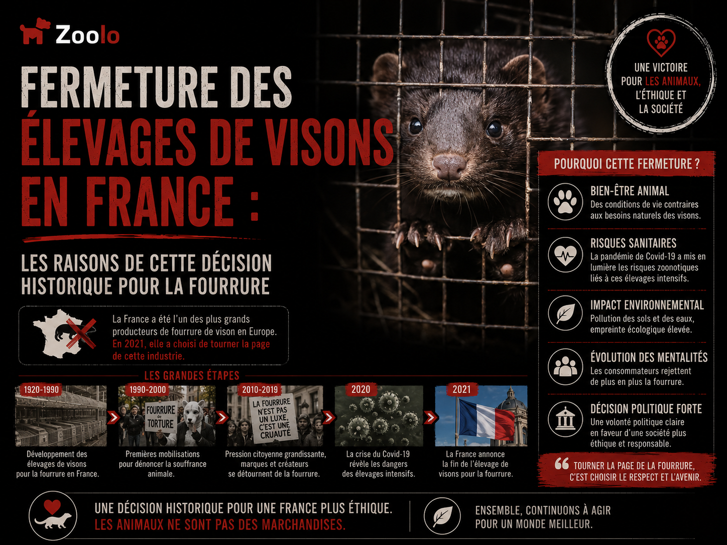 Fermeture des élevages de visons en France : Les raisons de cette décision historique pour la fourrure