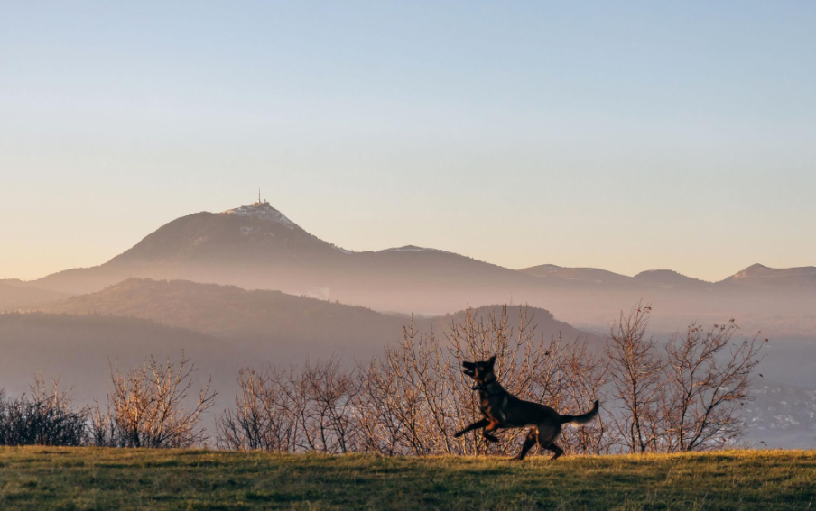 🌋 Puy de Dôme avec un chien