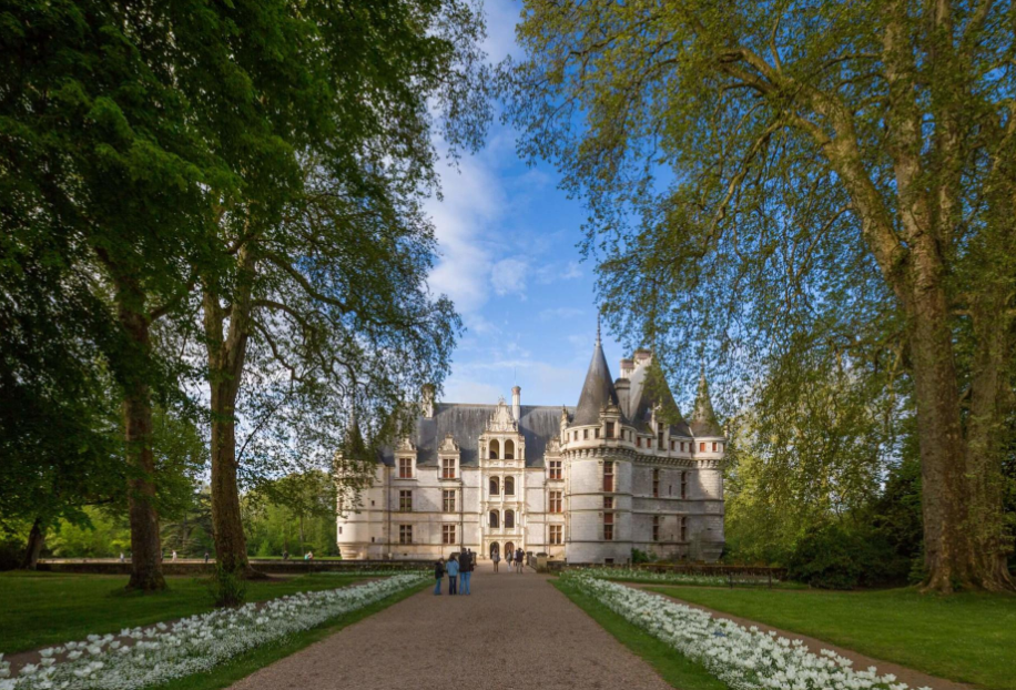 🏰 Château d'Azay-le-Rideau avec un chien