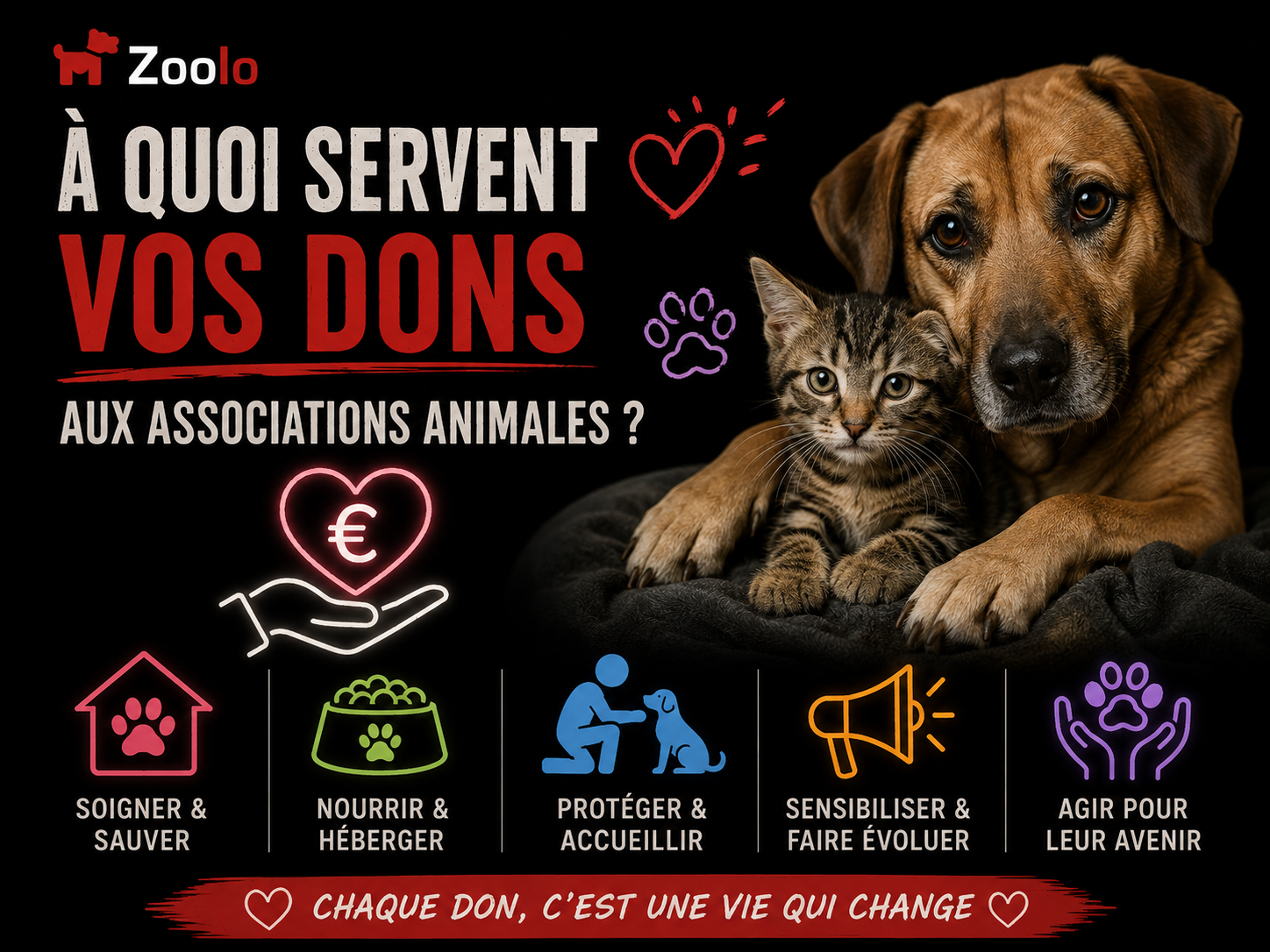 💰 À quoi servent réellement les dons faits aux associations animales ?
